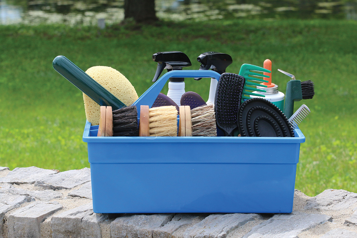 4 Best Travel Grooming Kits for Horses in 2025