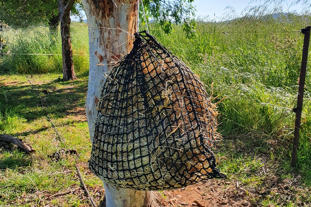 5 Best Slow Feed Hay Nets for Travel in 2025