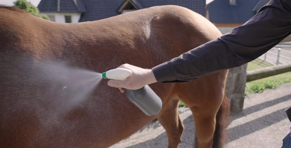 5 Best Fly Sprays for Horses in 2025