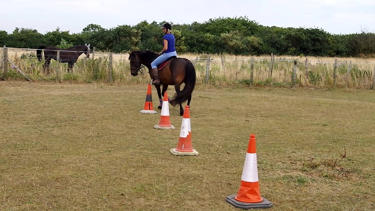 5 Best Training Cones for Riding Patterns in 2025