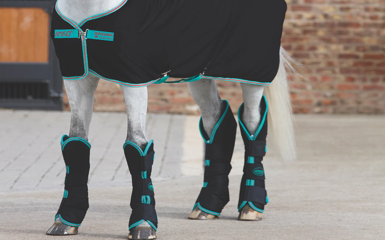 5 Best Horse Shipping Boots for Ultimate Protection on the Move in 2025
