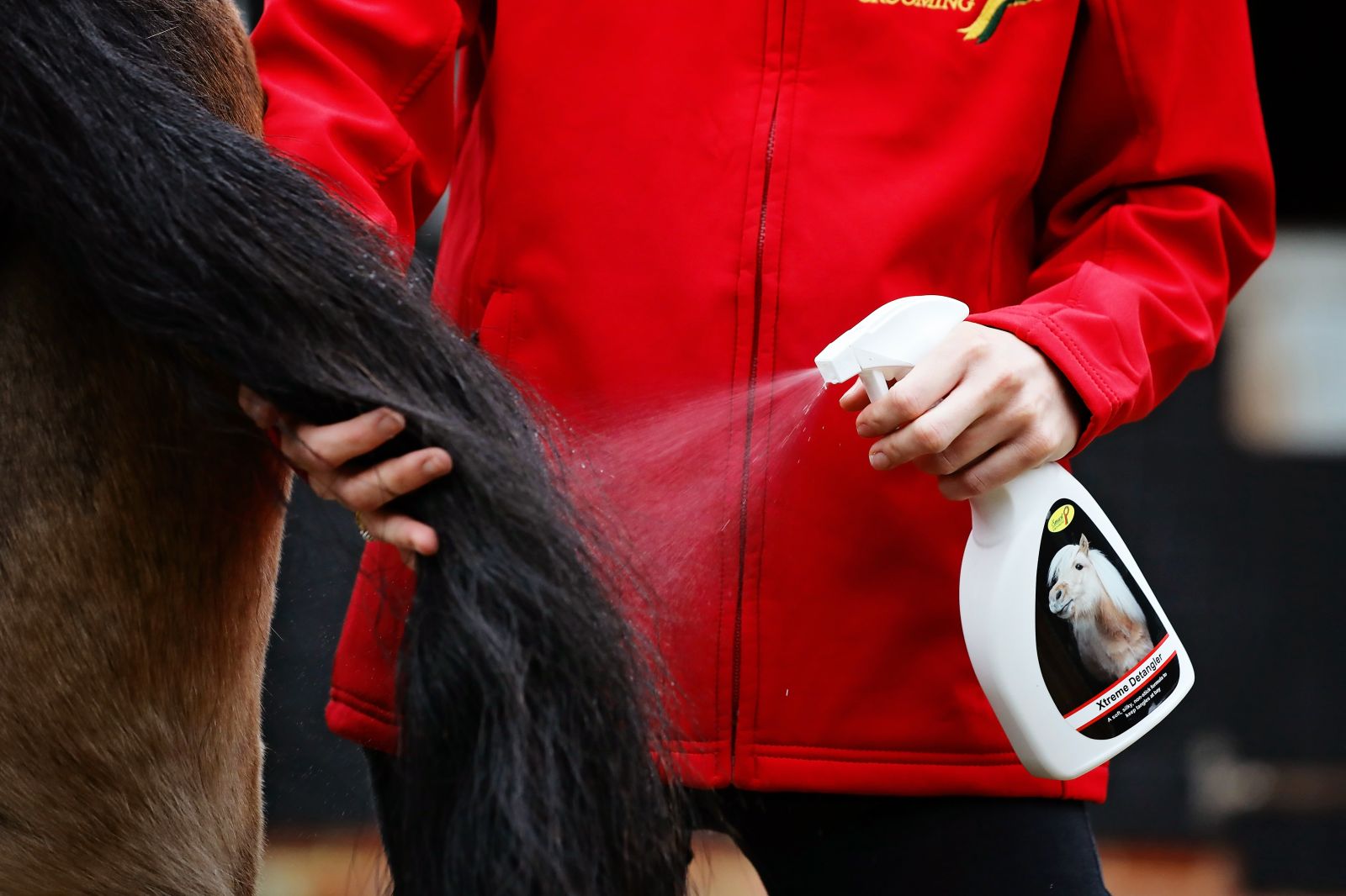 5 Best Detanglers for Horse Manes in 2025