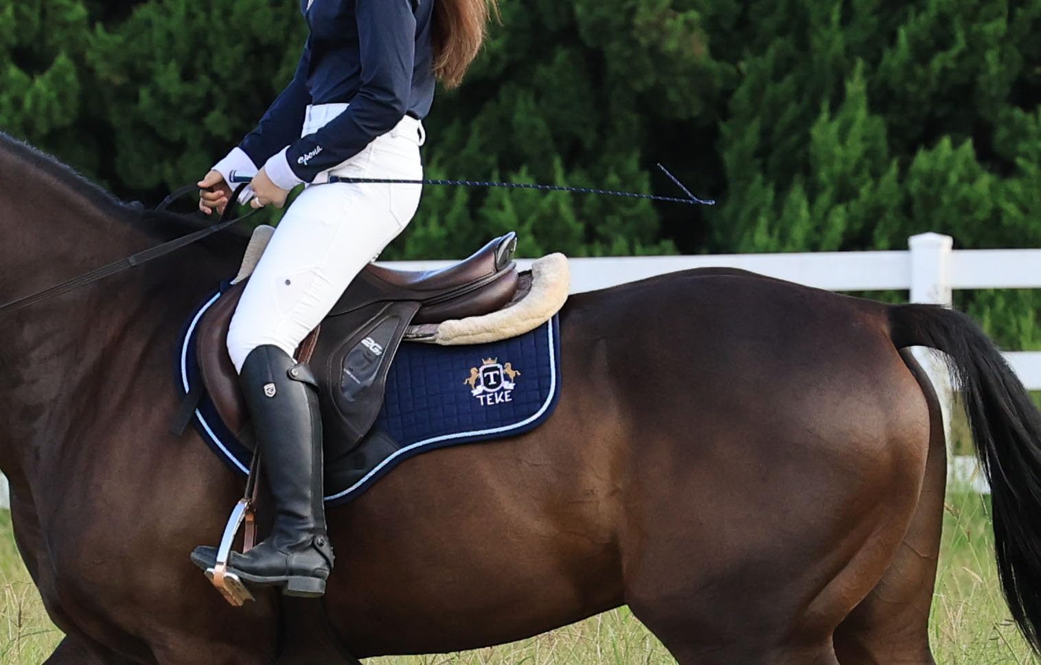 5 Best Dressage Whips for Training in 2025