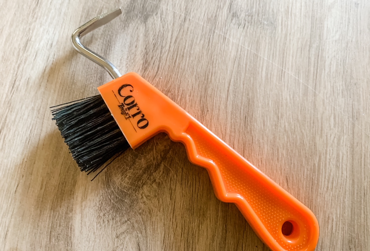 4 Best Hoof Picks With Brushes in 2025