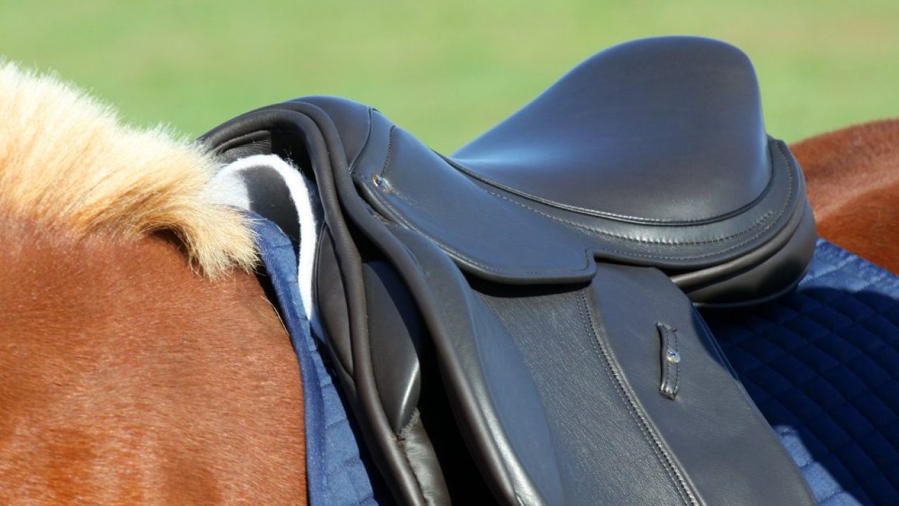 5 Best English Saddles for Dressage in 2025