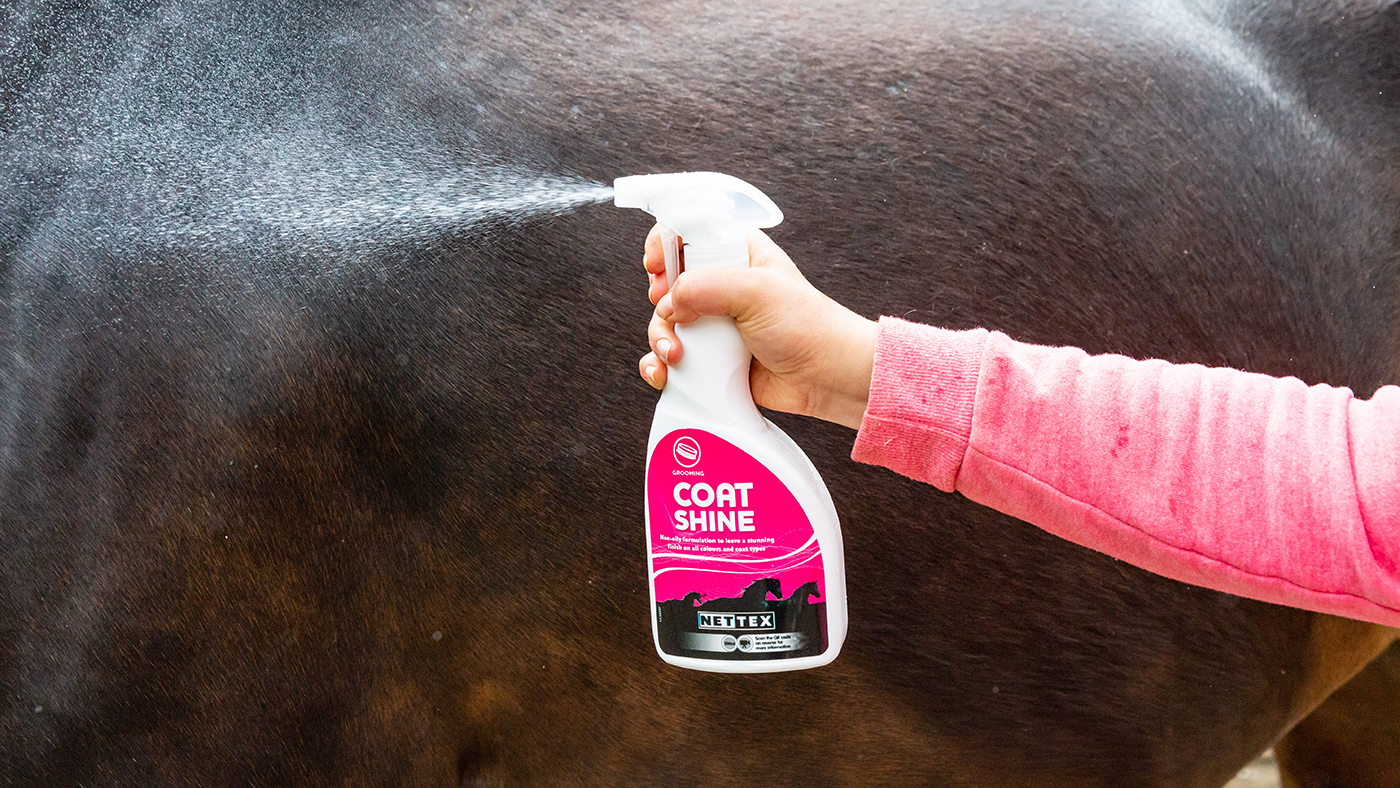 5 Best Horse Conditioner for Shine in 2025