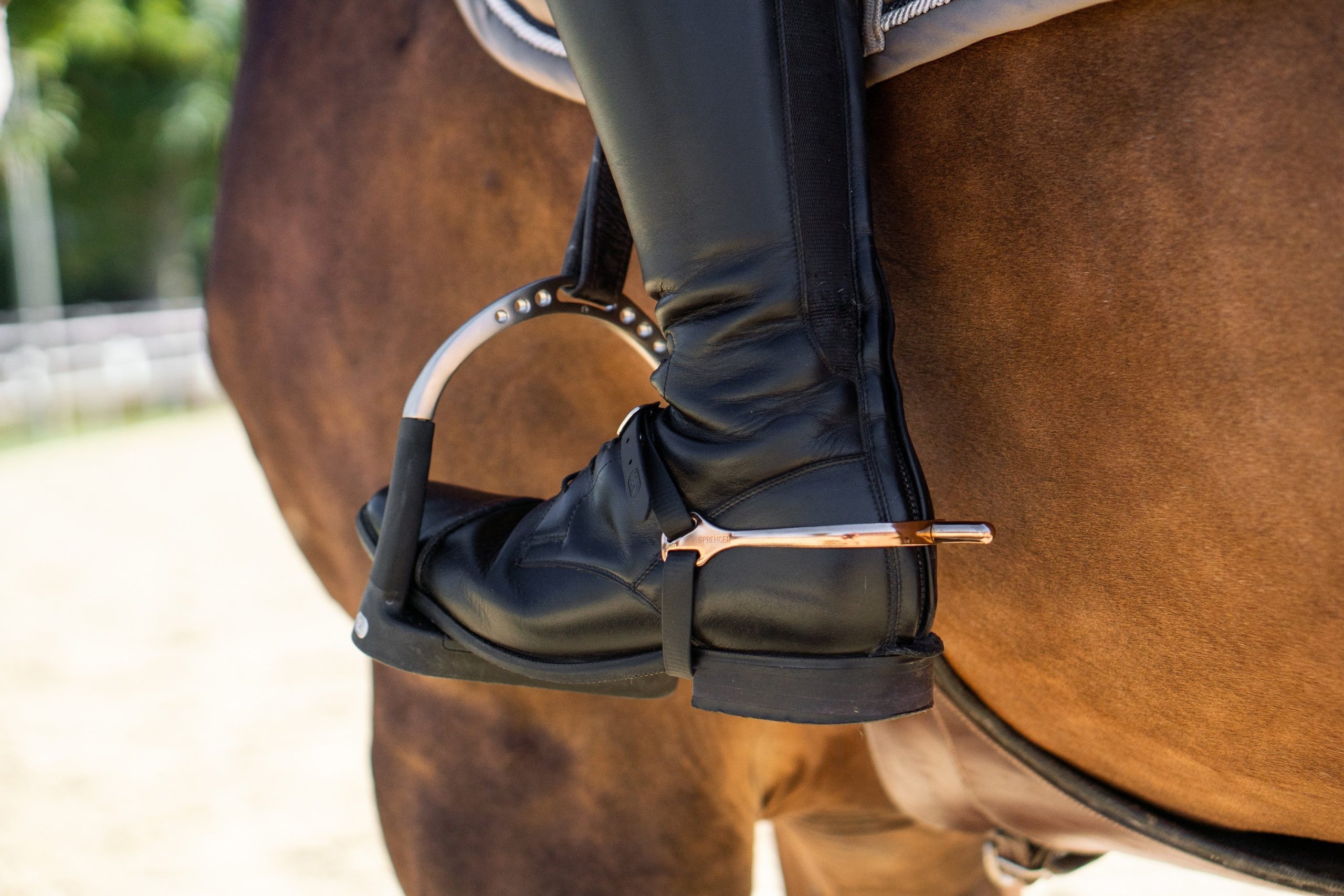 5 Best Riding Spurs for Control in 2025