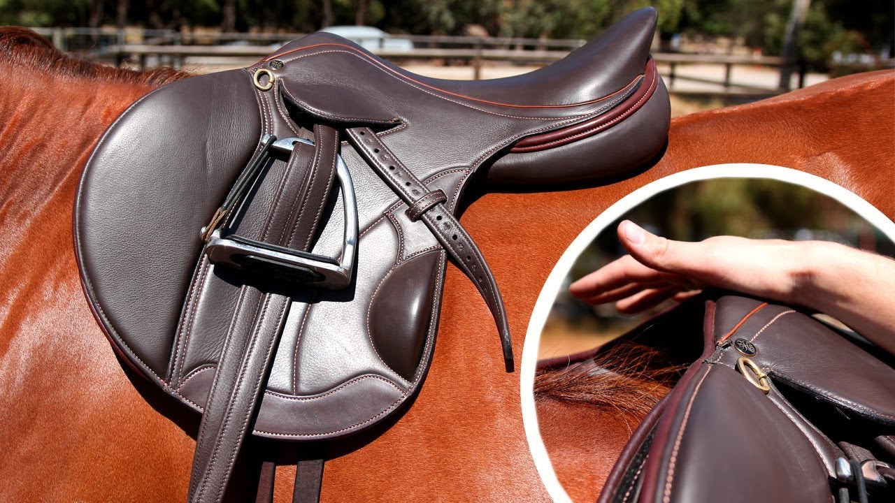 5 Best Saddle Pads for Comfort in 2025