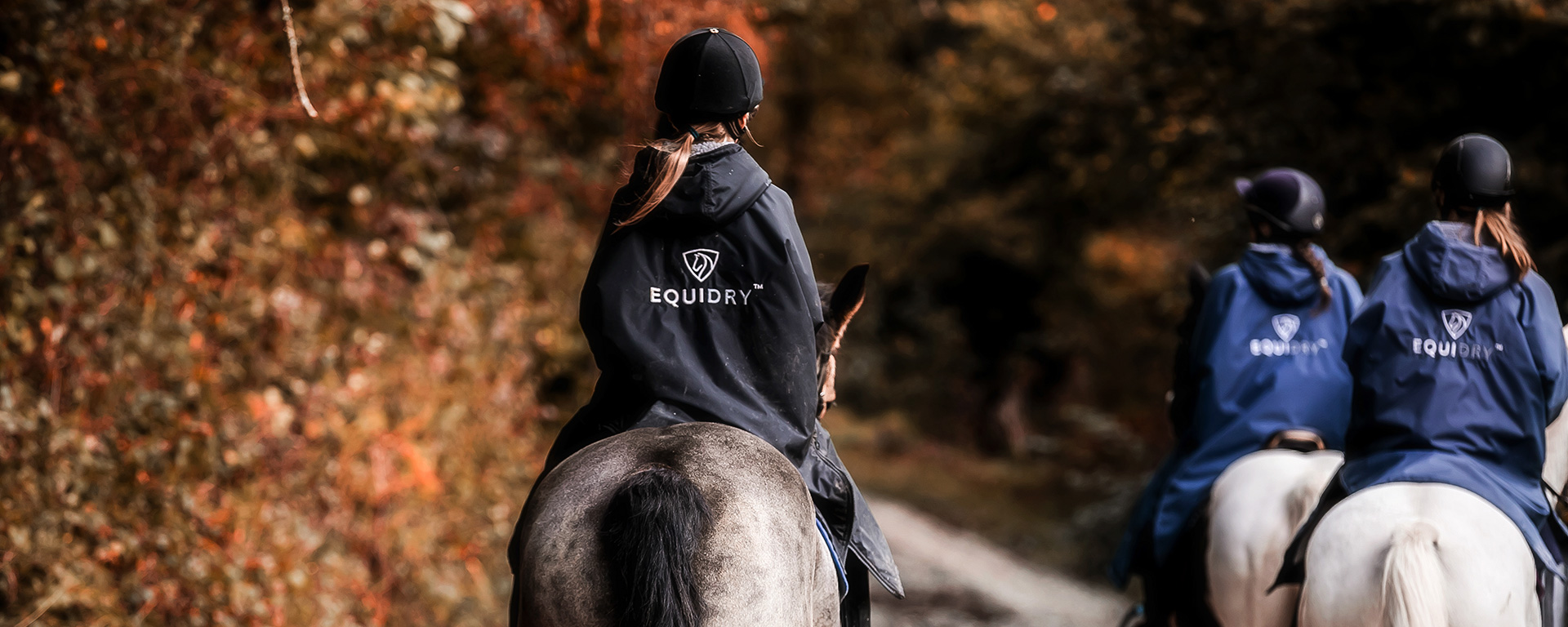 5 Best Waterproof Riding Jackets in 2025